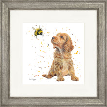 Load image into Gallery viewer, Biscotti and Bumble