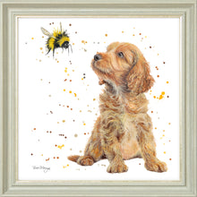 Load image into Gallery viewer, Biscotti and Bumble