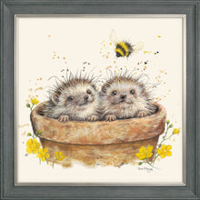Load image into Gallery viewer, Briar, Burr and Bumble