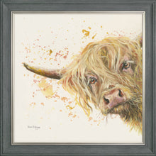 Load image into Gallery viewer, Brody