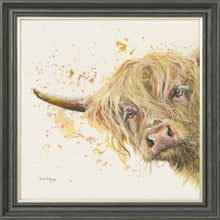 Load image into Gallery viewer, Brody