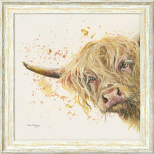 Load image into Gallery viewer, Brody