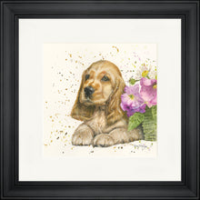 Load image into Gallery viewer, Cody