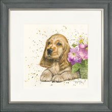 Load image into Gallery viewer, Cody