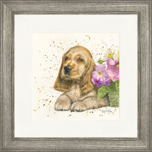 Load image into Gallery viewer, Cody