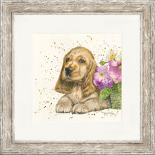 Load image into Gallery viewer, Cody