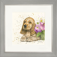 Load image into Gallery viewer, Cody