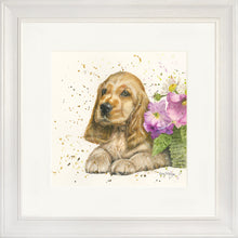 Load image into Gallery viewer, Cody