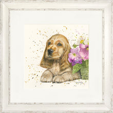 Load image into Gallery viewer, Cody