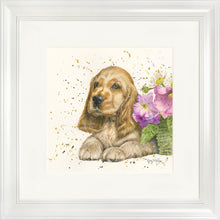 Load image into Gallery viewer, Cody