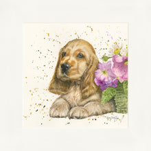 Load image into Gallery viewer, Cody