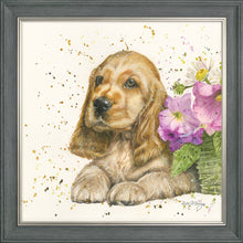 Load image into Gallery viewer, Cody