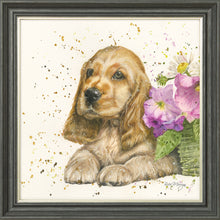 Load image into Gallery viewer, Cody