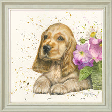 Load image into Gallery viewer, Cody