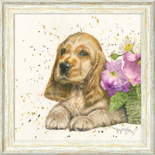 Load image into Gallery viewer, Cody