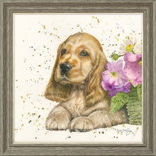 Load image into Gallery viewer, Cody