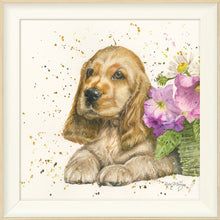 Load image into Gallery viewer, Cody