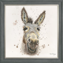 Load image into Gallery viewer, Desmond