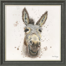 Load image into Gallery viewer, Desmond
