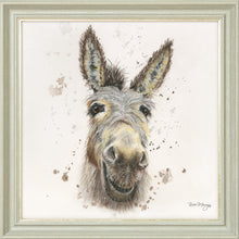 Load image into Gallery viewer, Desmond