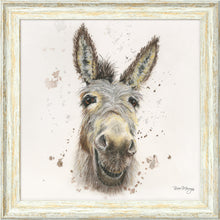 Load image into Gallery viewer, Desmond