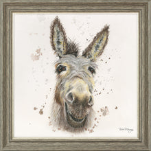 Load image into Gallery viewer, Desmond