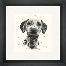 Load image into Gallery viewer, Dottie