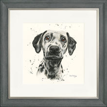 Load image into Gallery viewer, Dottie
