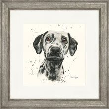 Load image into Gallery viewer, Dottie