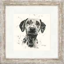 Load image into Gallery viewer, Dottie