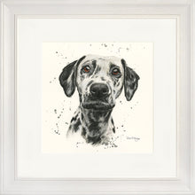 Load image into Gallery viewer, Dottie