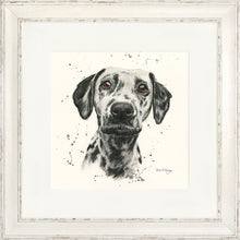 Load image into Gallery viewer, Dottie
