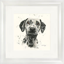 Load image into Gallery viewer, Dottie