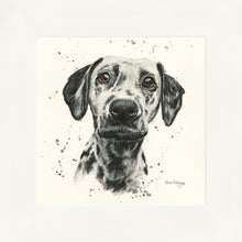 Load image into Gallery viewer, Dottie