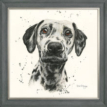 Load image into Gallery viewer, Dottie