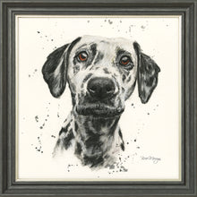 Load image into Gallery viewer, Dottie