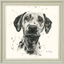 Load image into Gallery viewer, Dottie
