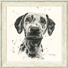 Load image into Gallery viewer, Dottie
