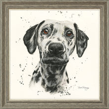 Load image into Gallery viewer, Dottie