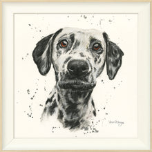 Load image into Gallery viewer, Dottie
