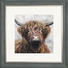 Load image into Gallery viewer, Harris