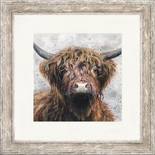 Load image into Gallery viewer, Harris