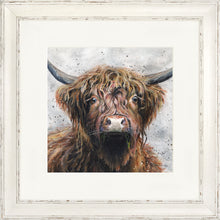 Load image into Gallery viewer, Harris