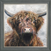 Load image into Gallery viewer, Harris