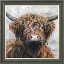 Load image into Gallery viewer, Harris