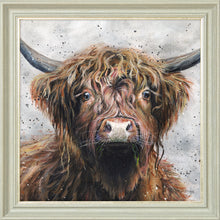 Load image into Gallery viewer, Harris