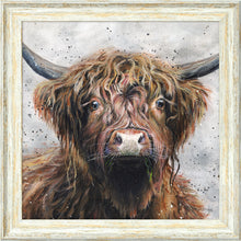 Load image into Gallery viewer, Harris