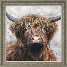 Load image into Gallery viewer, Harris