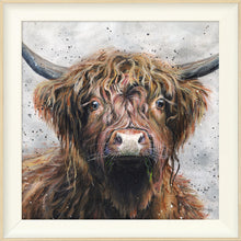 Load image into Gallery viewer, Harris