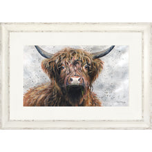 Load image into Gallery viewer, Harris